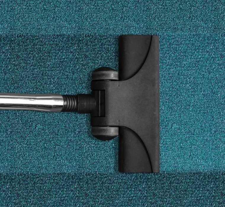 How To Prevent Carpet Mold After Water Damage