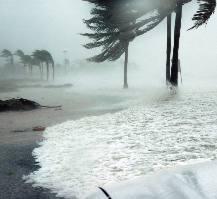 Hurricane Preparedness: 8 Tips To Define Your Plan