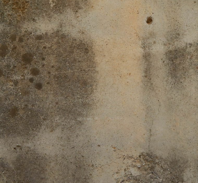 Mold Growth Prevention After A Flood