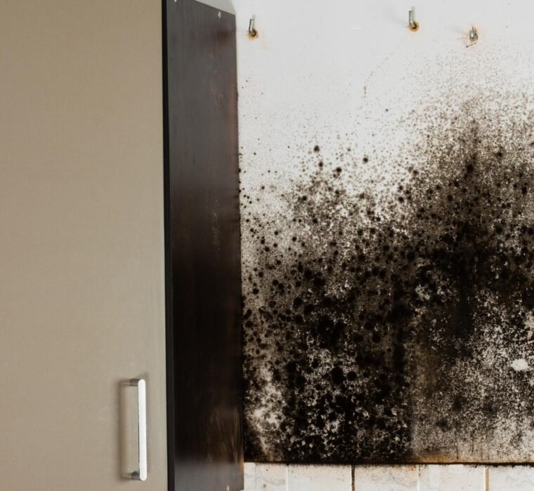 Removing black mold