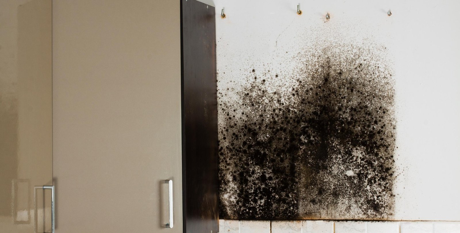 Removing black mold