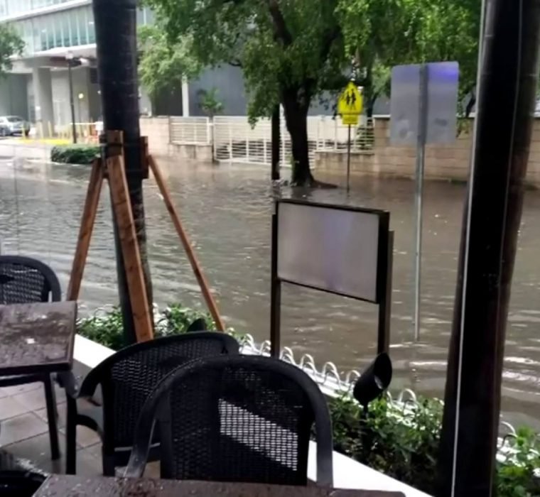 South Florida Businesses and Disasters