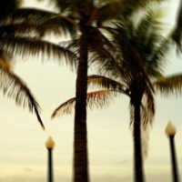 Hurricane season preparation Florida