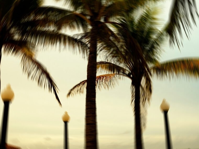 Hurricane season preparation Florida