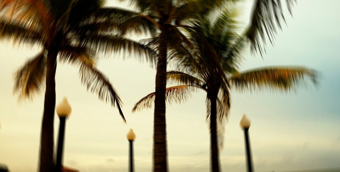 Hurricane season preparation Florida