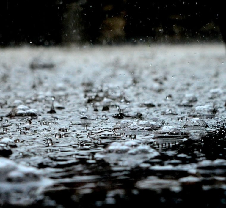 What To Do After An Active Rainy Season